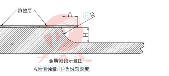 1552718037956007185.png 1.png